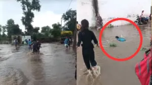 मैहर का दिल दहला देने वाला VIDEO, तेज बहाव में बहा पहली कक्षा का छात्र; ग्रामीणों ने मौत से बचाया