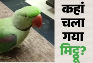 गजब है एमपी: तोते के लिए 10 हजार का इनाम, घर का लाड़ला ‘गोपी’ कल से गायब; परेशान घरवालों ने छपवाया पोस्टर