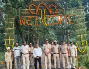 बांधवगढ़ में सफारी सीजन शुरू, ताला-मगधी-खितौली गेट खुले; पहले दिन बाघिन के दीदार से पर्यटकों का दिन बना खास