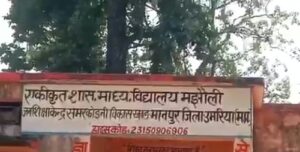 पहले बेटे की मौत, 15 दिन बाद पिता ने तोड़ा दम, फिर दादी की मौत; उमरिया के परिवार पर टूटा दुखों का पहाड़